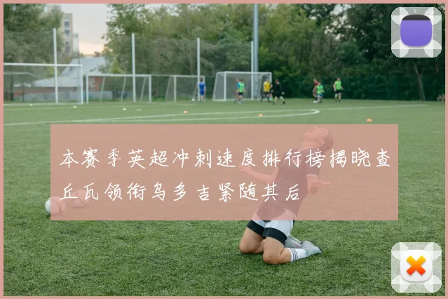 本赛季英超冲刺速度排行榜揭晓查丘瓦领衔乌多吉紧随其后