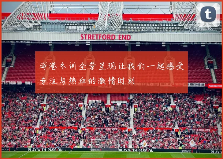 海港冬训全景呈现让我们一起感受专注与热血的激情时刻