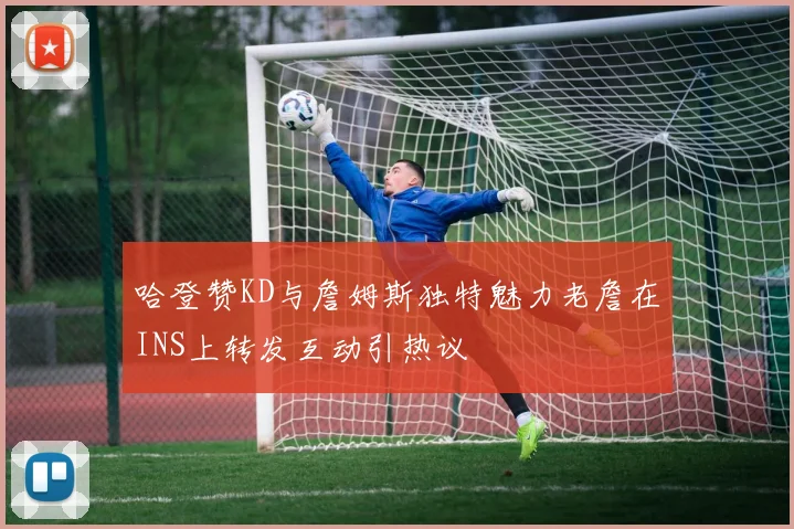 哈登赞KD与詹姆斯独特魅力老詹在INS上转发互动引热议